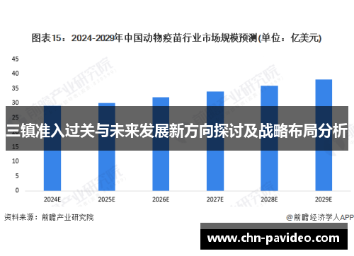 三镇准入过关与未来发展新方向探讨及战略布局分析