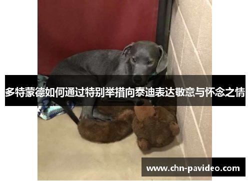 多特蒙德如何通过特别举措向泰迪表达敬意与怀念之情