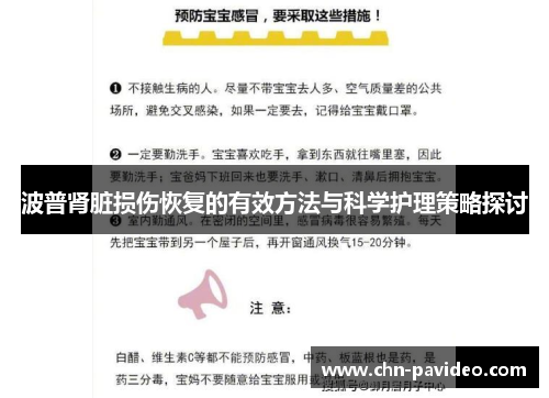 波普肾脏损伤恢复的有效方法与科学护理策略探讨