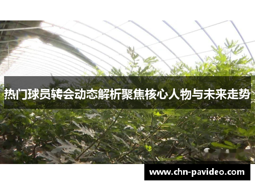 热门球员转会动态解析聚焦核心人物与未来走势