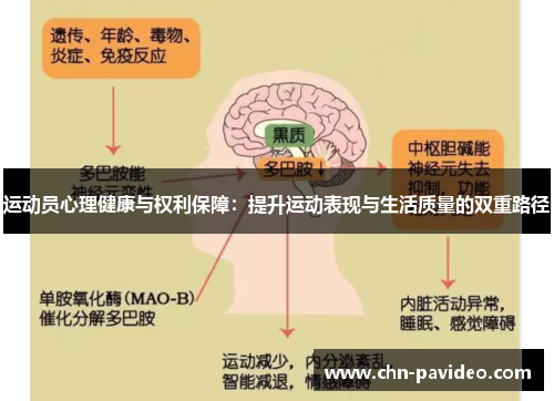 运动员心理健康与权利保障：提升运动表现与生活质量的双重路径