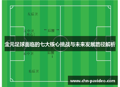 金元足球面临的七大核心挑战与未来发展路径解析