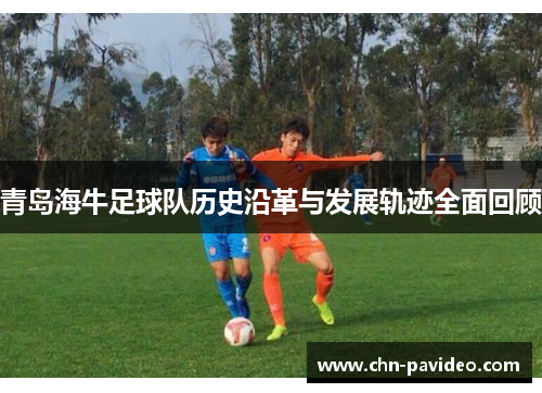 青岛海牛足球队历史沿革与发展轨迹全面回顾