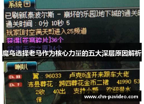 魔鸟选择老马作为核心力量的五大深层原因解析