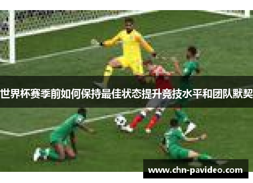 世界杯赛季前如何保持最佳状态提升竞技水平和团队默契
