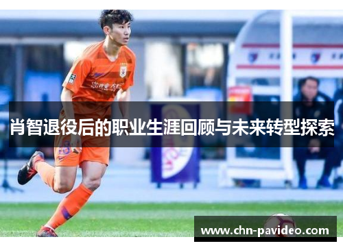 肖智退役后的职业生涯回顾与未来转型探索