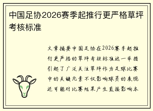 中国足协2026赛季起推行更严格草坪考核标准